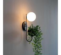Kosilum - Applique vaso per piante da interno di design - Florida - luce bianca calda illuminazione soggiorno camera cucina corridoio - 1 x max 5 W - 300 lm - G9 - IP20
