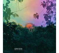 Kosmo Sound - Fruit of the Void (Coloured Vinyl)