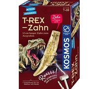 T-Rex - Zahn: Experimentierkasten