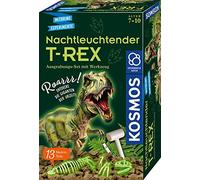 Nachtleuchtender T-Rex: Ausgrabungs-Set