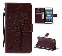 Kostiainen, Pekka/ Musica Choir Kostiainen - Eteranal Bird