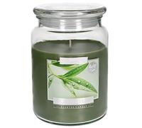 KOTARBAU® Candela profumata in un bicchiere con coperchio, idea regalo, candele decorative per aromaterapia, durata fino a ore (tè verde)