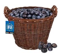 KOTARBAU® Cesto in vimini con manici, universale, per conservare e conservare fiori, Ø 50 cm
