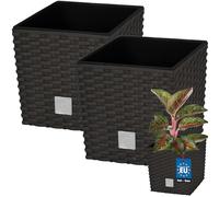 KOTARBAU® - Set da 2 vasi da fiori da 6,8 L, altezza: 20 cm, Umbra, vaso per piante in plastica con sottovaso, set di vasi da fiori stile rattan, vaso per piante da interno ed esterno