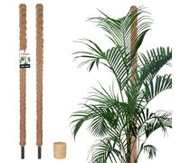 KOTARBAU® Set di 2 bastoncini di muschio per Monstera di cocco naturale, diametro 3,2 x 150 cm, per piante Monstera, asta di cocco, asta per piante rampicanti Moss Pole Monstera