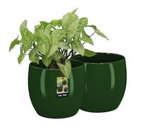 KOTARBAU Set di 2 vasi in ceramica rotondi, diametro 15 cm, altezza 16 cm, colore verde, per piante da appartamento