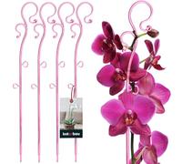 KOTARBAU® Set di 4 supporti per piante rosa, 39 cm, in PVC, per piante da appartamento, supporto per fiori da giardino, supporto per orchidee, supporto per piante decorative, piante da appartamento