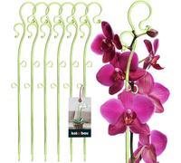 KOTARBAU® Set di 6 supporti per piante in PVC verde, 39 cm, supporto per fiori, piante da appartamento, supporto per fiori da giardino, asta per orchidee, supporto per piante da appartamento