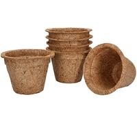 KOTARBAU® Set di 6 vasi da fiori in noce di cocco, 10 x 8 cm