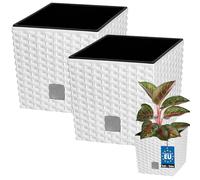 KOTARBAU® Vaso da Esterno Con inserto, Fioriera da Esterno 20 x 20 cm | 2 Pezzi, Vasi per Piante da Esterno in Plastica 6,8 L, Vasi da Giardino, Effetto Rattan, Bianco