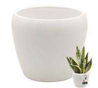 KOTARBAU® Vaso da fiori bianco interno rotondo, diametro 13,5 cm, altezza: 14 cm, in ceramica smaltata, per interni, per orchidee, per interni