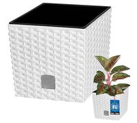 KOTARBAU® - Vaso da fiori, coprivaso con vaso interno, per coltivare le piante, 200 mm, bianco