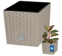 KOTARBAU® - Vaso da fiori, coprivaso con vaso interno, per coltivare le piante, 200 mm, Mocca (beige)