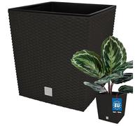 KOTARBAU® - Vaso da fiori, coprivaso con vaso interno, per coltivare le piante, 260 mm, Umbra (grigio scuro)
