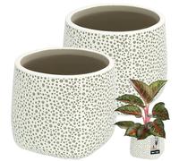 KOTARBAU® Vaso per fiori non smaltato, finitura opaca, grigio panciato, diametro 12,5 cm, altezza 12,5 cm, 2 vasi per piante da interno, vaso in ceramica, grande vaso moderno
