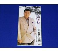 Kotaro Satomi - Aino Yukue