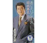 Kotaro Satomi - Ajisai Blues