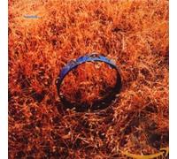 Koushik - Out My Window (Instrumentals + Bonu