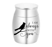 kowaku Contenitore Commemorativo per Animali Domestici E Baule Dei Ricordi con Chiusura a Vite Sicura, Adatto per Conservare Il Ricordo Degli Animali Domesti, Argento