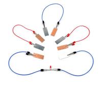 kowaku Kit Esperimento Scientifico Fruttobatteria con Elettrodi di Zinco E Rame per Insegnare Elettricità E Reazioni Chimiche Adatto per Progetti Scolastici, Batteria di Frutta (con Cavi Lunghi)