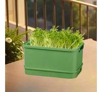 kowaku Vassoio per La Germinazione dei Semi, Vassoio Multiuso per La Germinazione dei Semi per Arachidi Domestiche