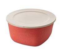 Koziol Box with lid 4l Connect Box 4