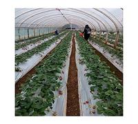 KPKPK Pellicola pacciamante in PE Argento-Nero, 10 m x 0,012 mm di Spessore, for Copertura agricola/del Terreno, Controllo del Gelo/delle Erbacce e Isolamento Termico(0.6M Width)