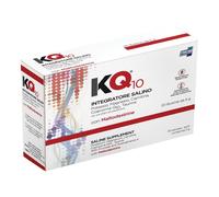 Kq10 20 Buste