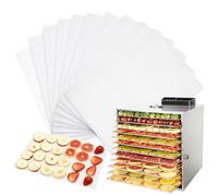 KQDRAVINE 10 Pezzi Fogli Disidratatori per Essiccatore Alimentare, 20×30 cm Tappetino Essiccatore in Silicone, Antiaderenti & Riutilizzabili Fogli per Disidratatore, Facili da Pulire
