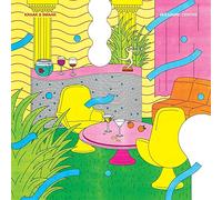 Kraak & Smaak Pleasure Centre (Vinyl LP) 12" Album