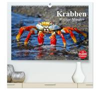 Krabben. Witzige Monster (hochwertiger Premium Wandkalender 2026 DIN A2 quer), Kunstdruck in Hochglanz: Kleine Aliens zum genaueren Betrachten