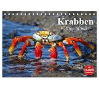 Krabben. Witzige Monster (Tischkalender 2026 DIN A5 quer), CALVENDO Monatskalender: Kleine Aliens zum genaueren Betrachten