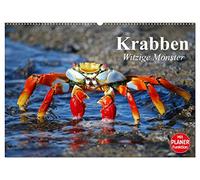 Krabben. Witzige Monster (Wandkalender 2026 DIN A2 quer), CALVENDO Monatskalender: Kleine Aliens zum genaueren Betrachten