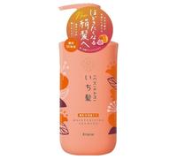 Kracie - Ichikami Intensive Moisturizing Dual Care Shampoo - 480ml