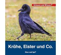 Krähe, Elster und Co.: Schauen und Wissen!