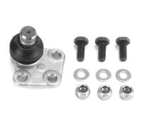 KRAFT AUTOMOTIVE Giunto Sospensione Per Renault Kangoo Express FW0/1