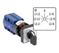 Kraus & Naimer CG4.A007.FS2.F785 Interruttore Voltmetro 10 A Grigio, Nero 1 p
