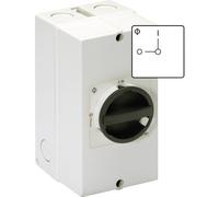 Kraus & Naimer KG10.T103/40.KS51V Interruttore di riparazione con la barra di