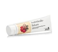 Krauterhaus Sanct Bernhard - KRAUTERHAUS SANCT BERNHARD Devils Claw Ointment (150 ml / 5,07 fl. oz.)