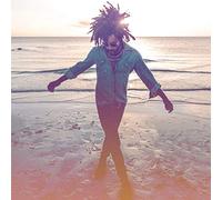 KRAVITZ, LENNY - RAISE VIBRATION