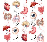 Kreatwow Decorazioni per feste di anatomia umana, 24 pezzi, corpo umano da appendere al soffitto, parte del corpo, stelle filanti a tema organo medico, decorazione per fisiologia, dottore, infermiera
