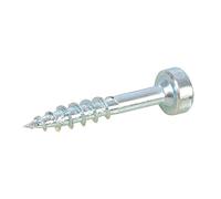 Kreg SPS-C1-250-EUR Viti a Scomparsa con Testa Piana, Argento