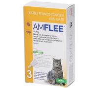 Amflee*spoton 3pip gatti