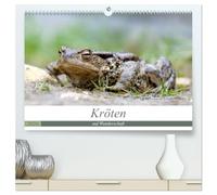 Kröten auf Wanderschaft (hochwertiger Premium Wandkalender 2026 DIN A2 quer), Kunstdruck in Hochglanz: Kröten unterwegs zu den Laichplätzen