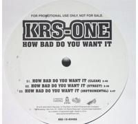 Krs 1 - How Bad Do You Want...