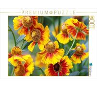 Kruse Gisela - Puzzle da 1000 pezzi, soggetto: sposa del sole, dimensioni 64 x 48 cm