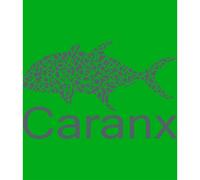 Kruskis Caranx Short Sleeve T-shirt Verde XL Uomo