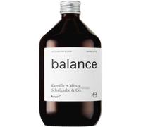 kruut Balance - Oxymel con Estratto di Erbe Selvatiche - 500 ml (50 dosi)