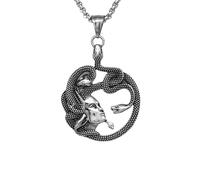 KRXSOBNV Collana in acciaio al titanio, Collana con Medusa e Gorgone della mitologia greca - Acciaio inossidabile, stile vintage punk, intricato serpente(Silver)