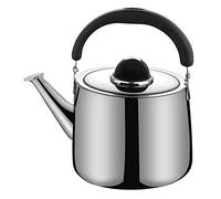 KRXSOBNV, Teiera for piano cottura a induzione Fornello a gas Bollitore con manico in bachelite,Bollitori per tè(5L)